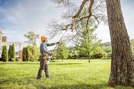Best Tree Preservation Services  in Canyon Creek, WA