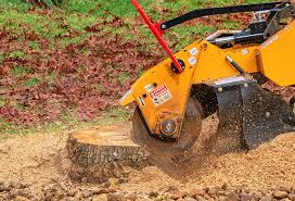 Best Tree Cabling and Bracing  in Canyon Creek, WA