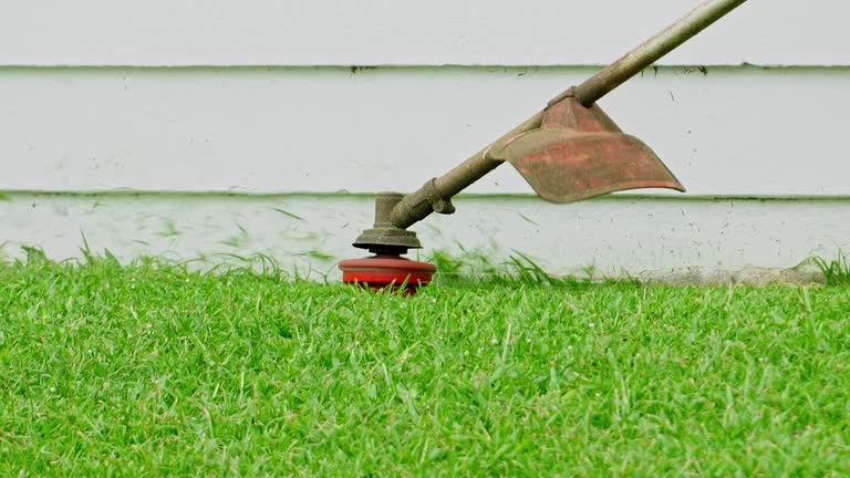 Best Tree Health Inspection  in Canyon Creek, WA