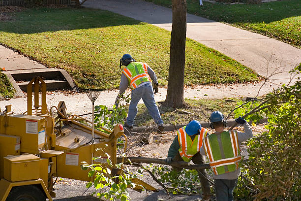 Best Storm Damage Tree Cleanup  in Canyon Creek, WA